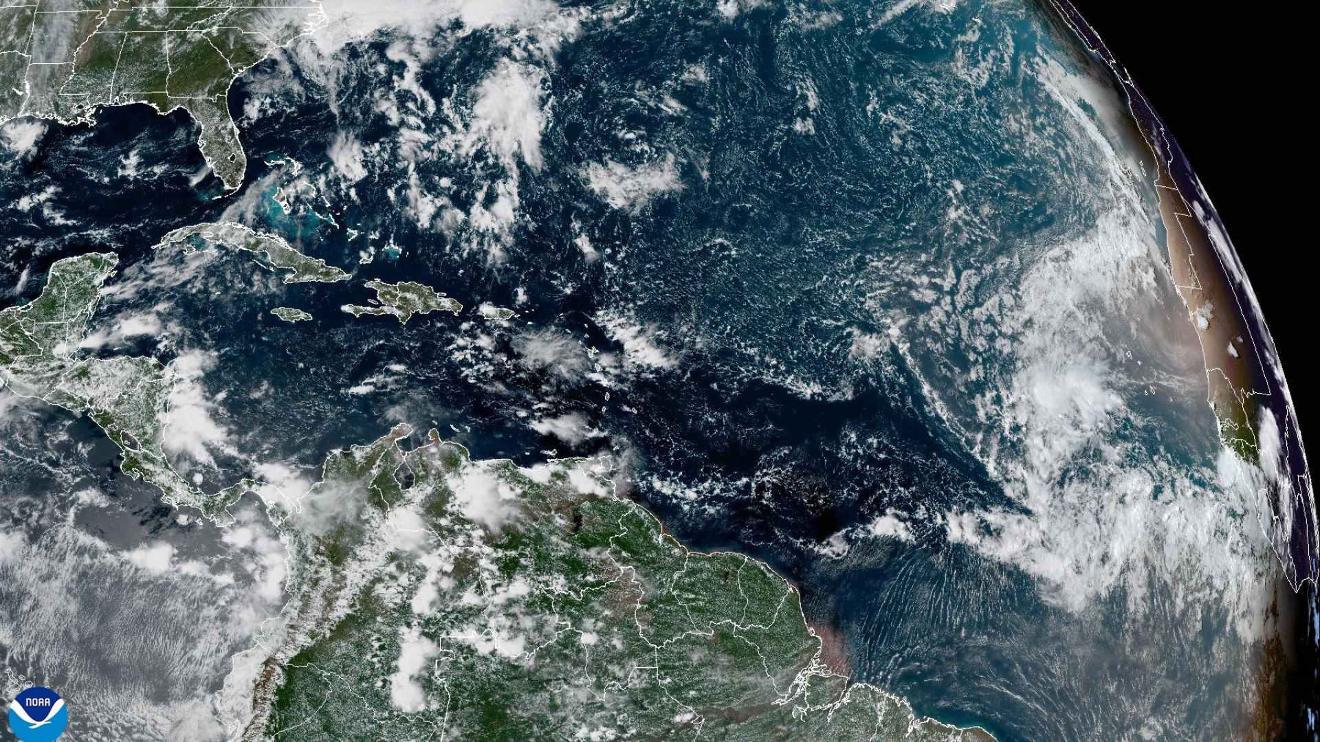 Tropical Wave