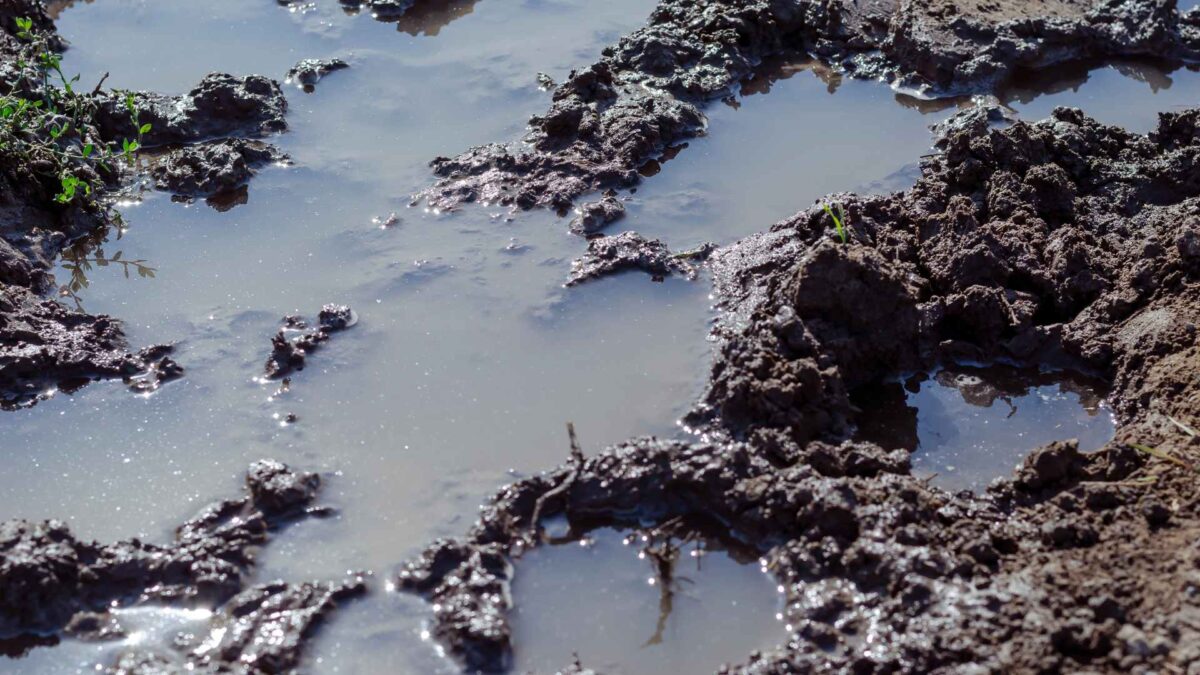 Wet-land-for-farmers-1-1200x675 Farmers face poor drying conditions as rain continues
