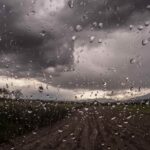 Wet land for farmers