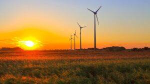 Wind farm