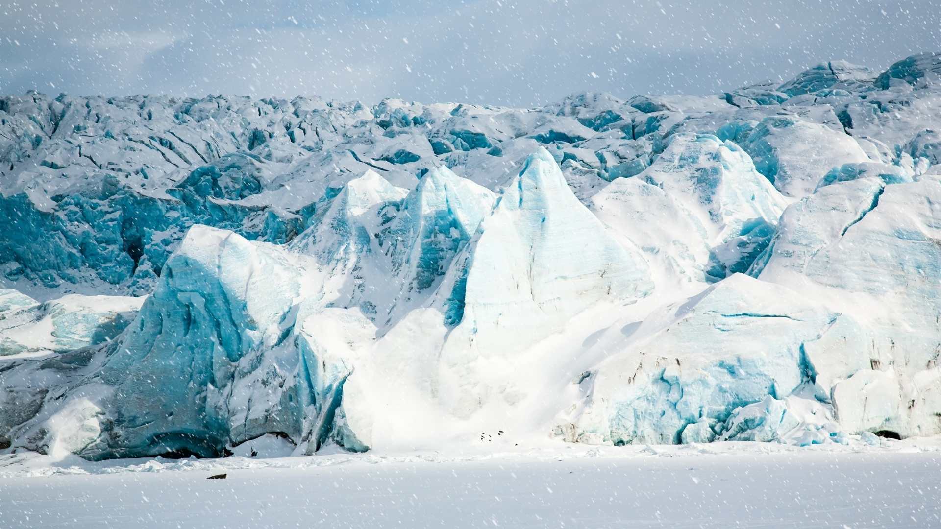 arctic