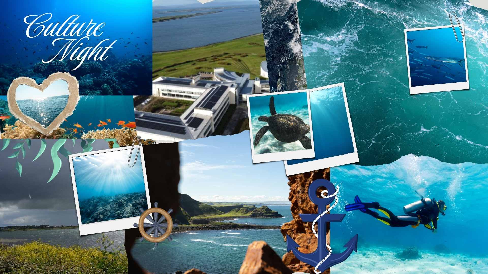 marine culture night