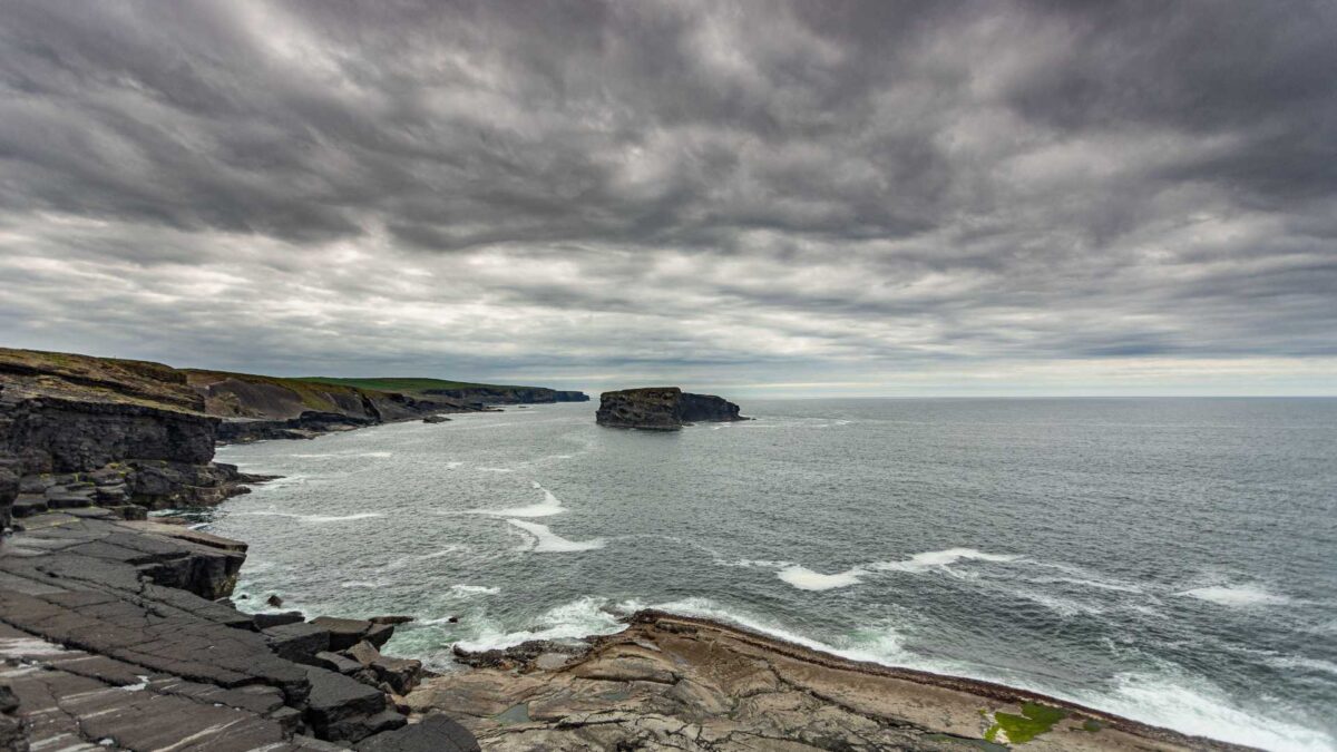 A-Lapland-Bunting-was-sighted-recently-at-Loop-Head-in-County-Clare-1200x675 Lapland Bunting Sightings Surge Across Ireland