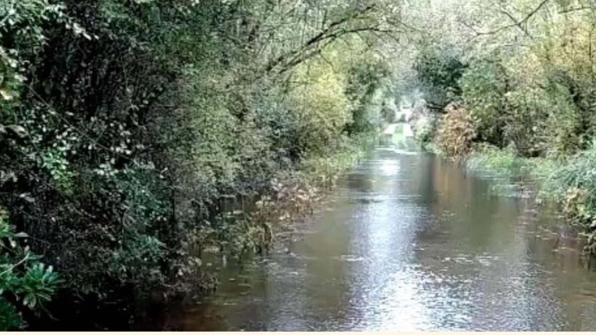 A-section-of-the-L1126-in-Moungfune-Murroe-1200x675 LIVE Updates: Storm Amy in Ireland