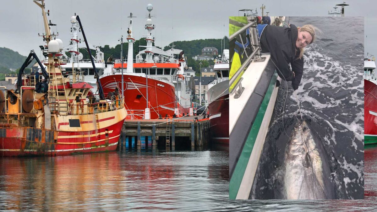 Angler-Aoife-McGettigan-with-the-bluefin-tuna.-Credit-Killbyegs-Fishing-Trips-1200x675 760-Pound Tuna Caught Off Donegal Coast