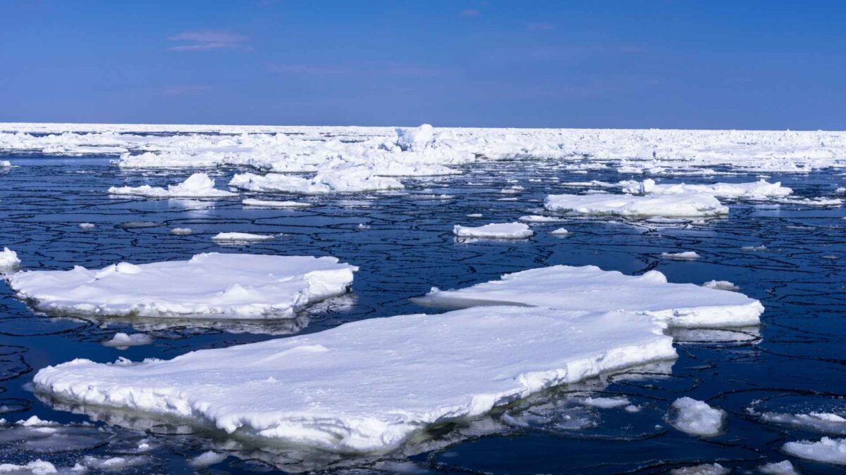 Arctic-Ocean-1200x675 Melting Arctic Ice Could Boost Life Beneath the Waves