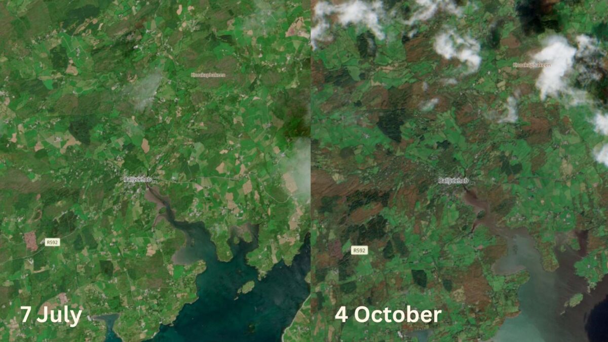 Ballydehob-on-July-7th-and-October-4th.-Credit-Copernicus-1200x675 The Browning of Ballydehob: Satellite reveals autumn shades in West Cork