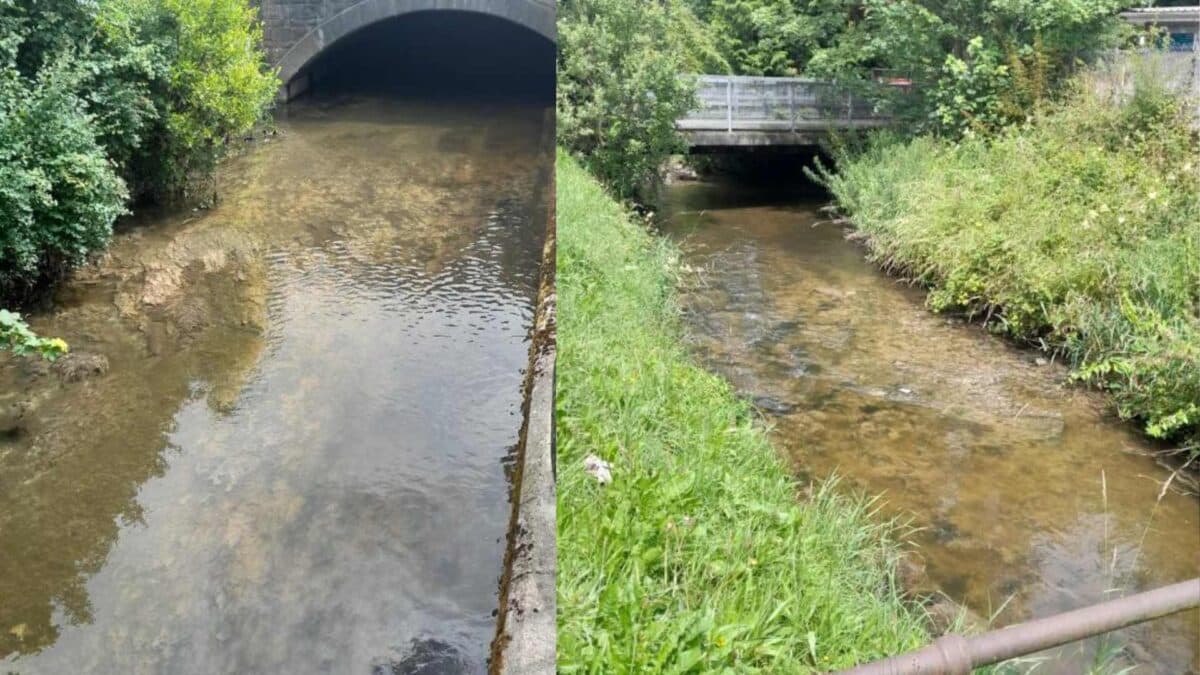 Cavan-town-river-covered-in-sewage-fungus-and-pollution.-Credit-IFI-1200x675 Fine issued over fish kill in Cavan