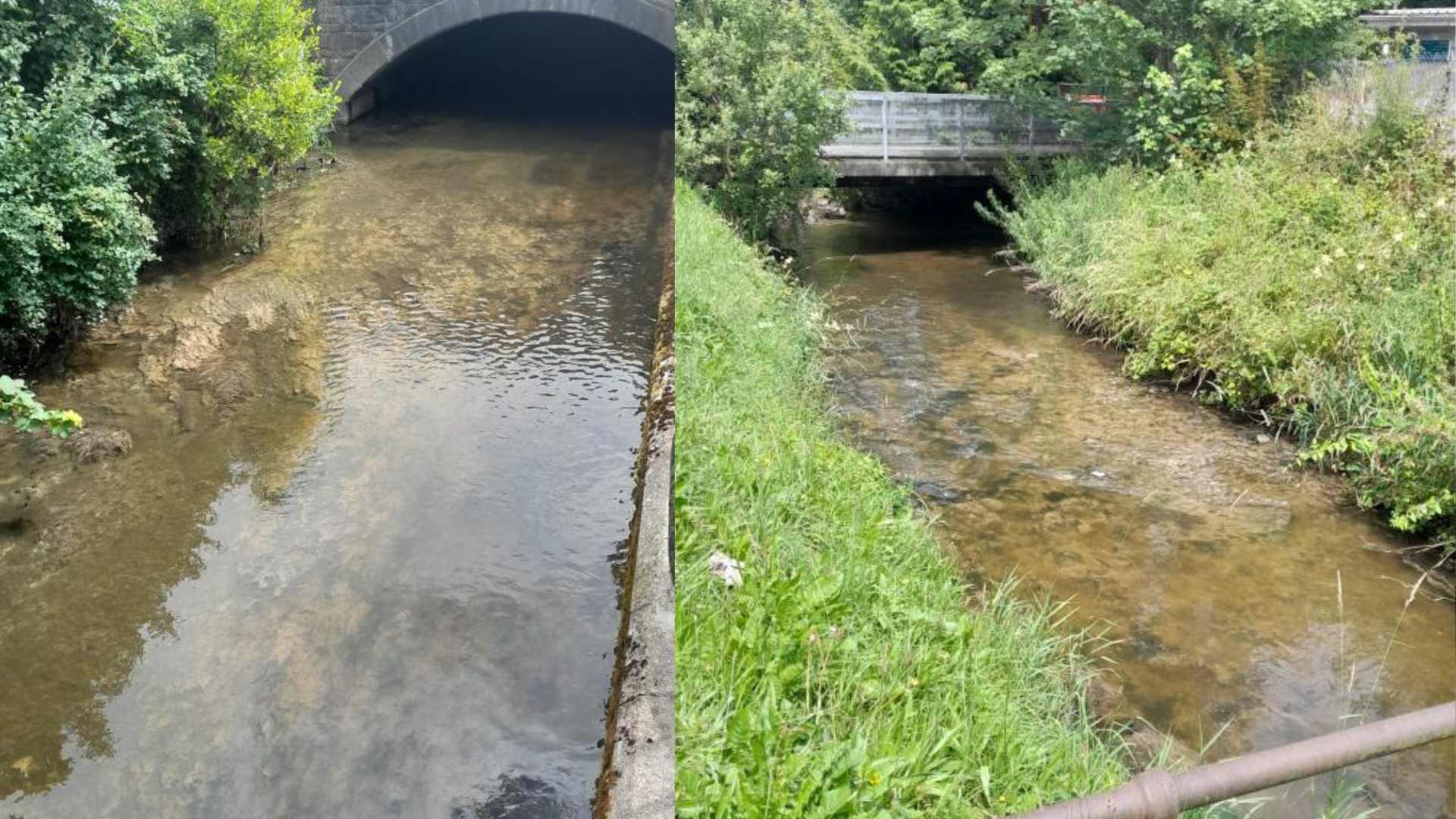 Cavan town river covered in sewage fungus and pollution