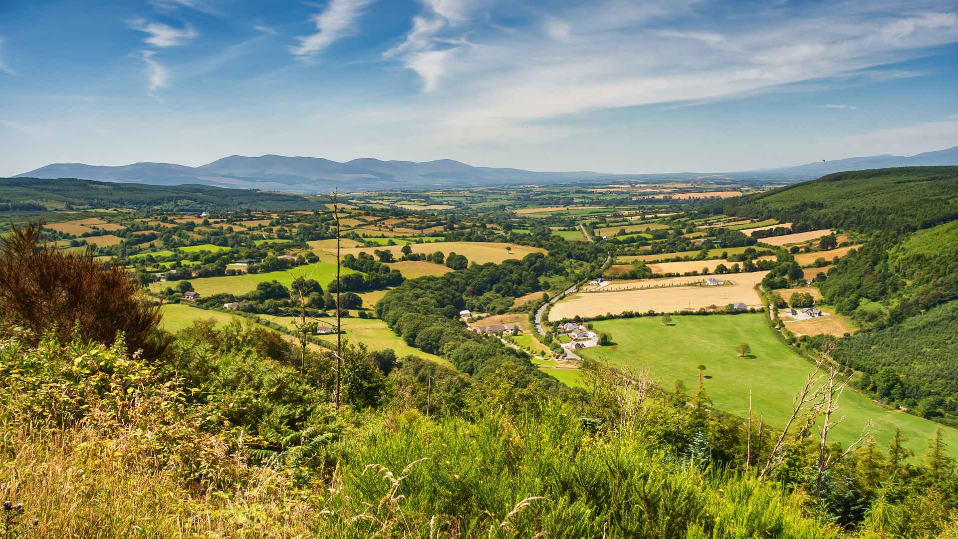 County Tipperary Landscape in Ireland