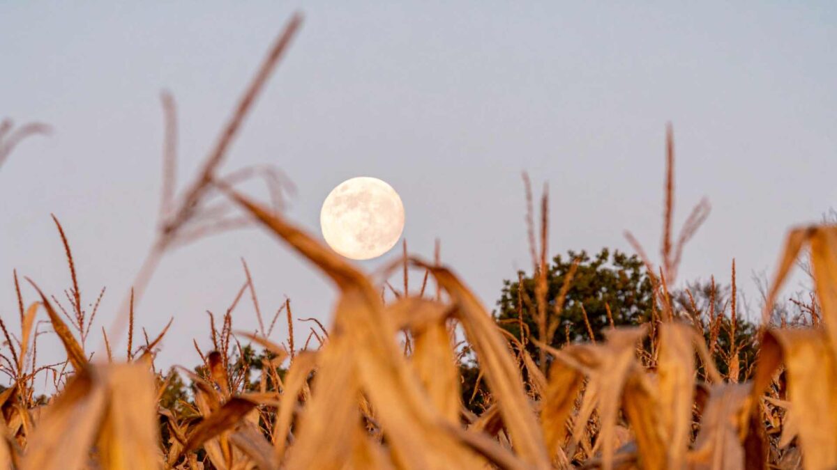 Harvest-Moon-1200x675 Harvest Supermoon to Light Up Irish Skies