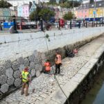 Marine life gets a boost as Ireland’s first Living Seawalls unveiled 3 Ireland’s first living seawall