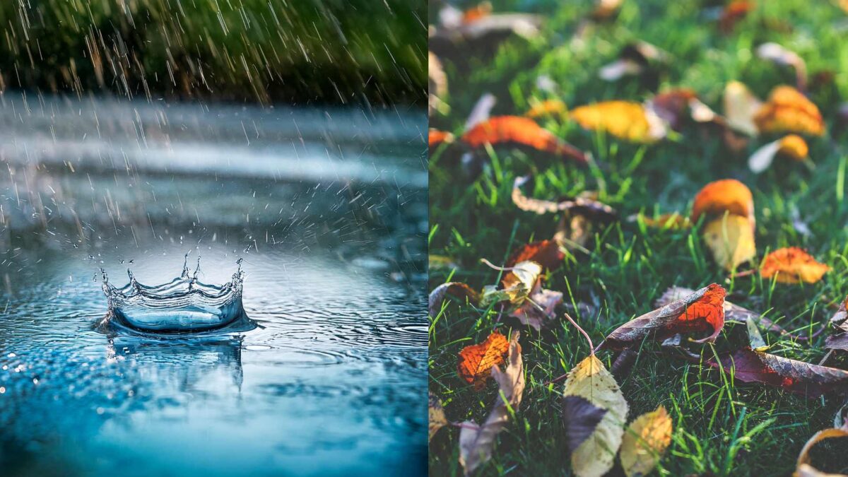 November-weather-1200x675 A Tale of Two Novembers: Wet Start, Drier Finish