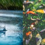 A Tale of Two Novembers: Wet Start, Drier Finish 2 November weather