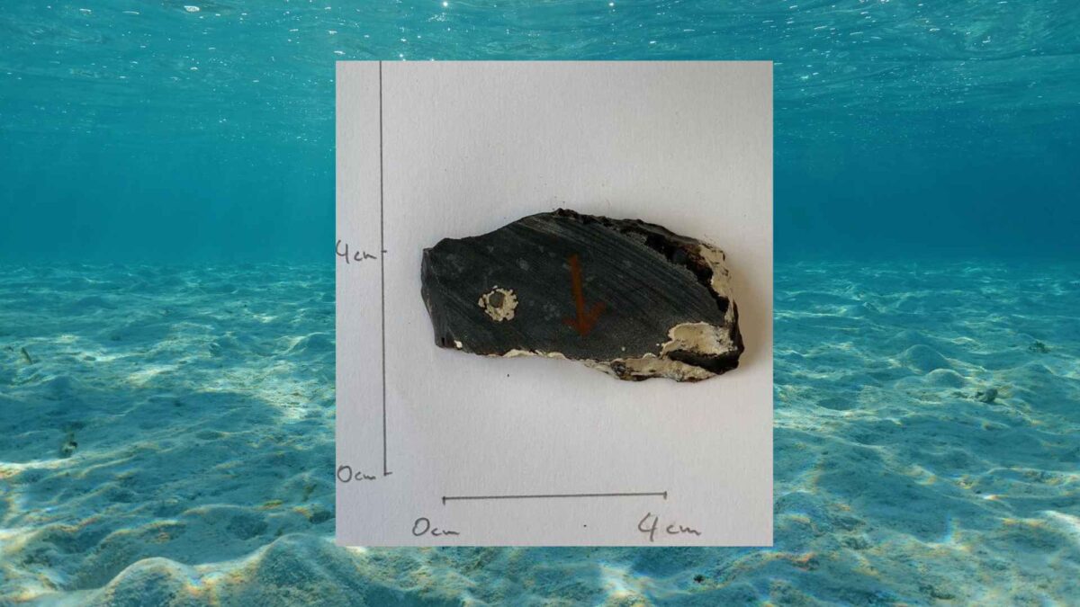 Ocean-floor-and-rock-1200x675 Ancient rocks reveal how heat once flowed from Earth's core