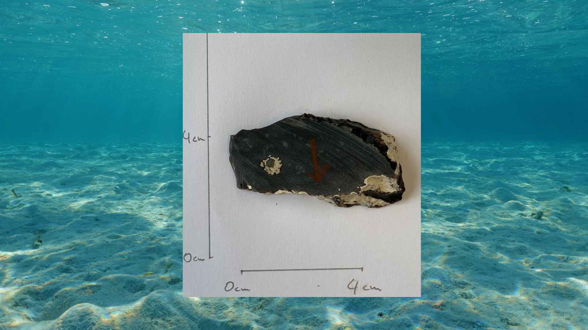 Ocean floor and rock