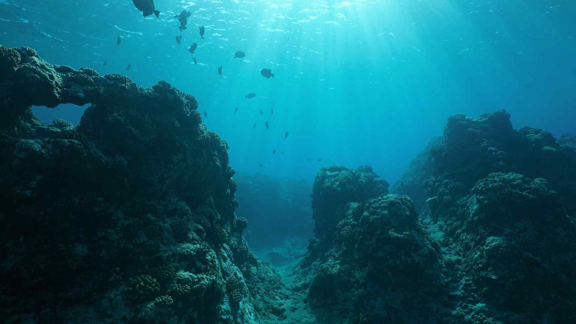 Pacific ocean floor