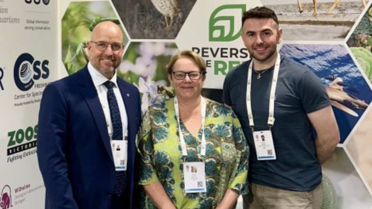 Pictured-Dolf-DeJong-Dr-Sue-Walker-and-Dr-Andrew-Mooney-1200x675 Dublin Zoo Joins Global Alliance to Protect Endangered Species