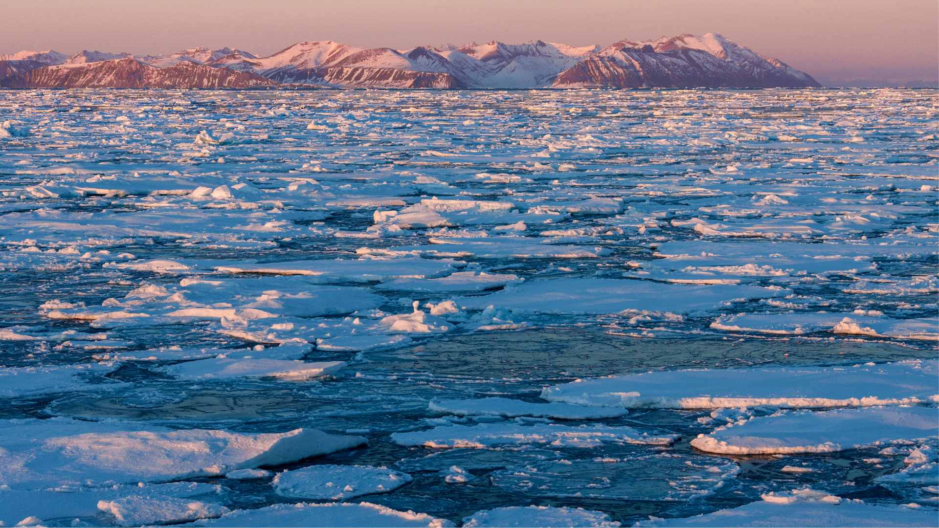 Sea Ice in Greenland