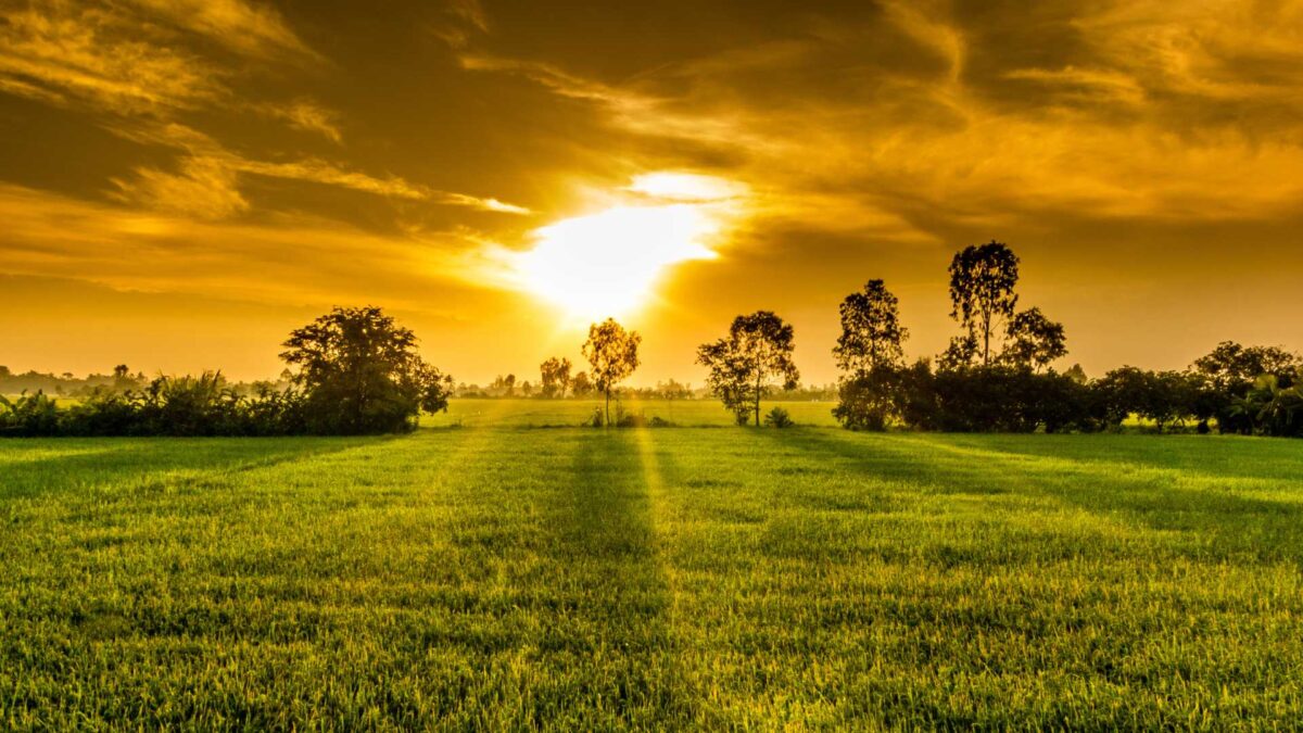 Sunshine-and-farm-1200x675 Met Éireann and Teagasc explore how weather shapes Irish farming