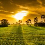 Met Éireann and Teagasc explore how weather shapes Irish farming 2 Sunshine and farm