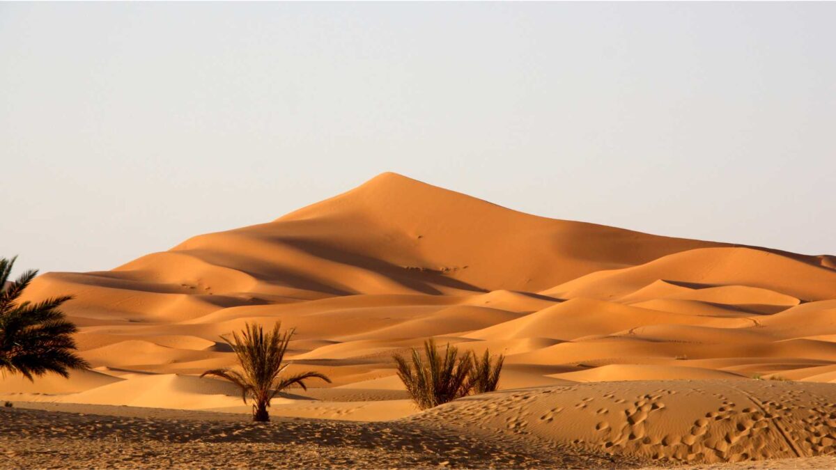 The-Sahara-Desert-1200x675 Sahara Could Become Wetter By Second Half Of Century