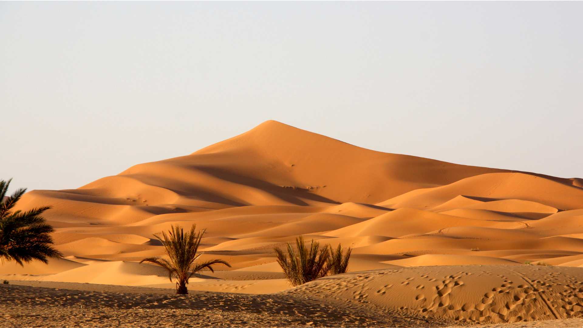 The Sahara Desert