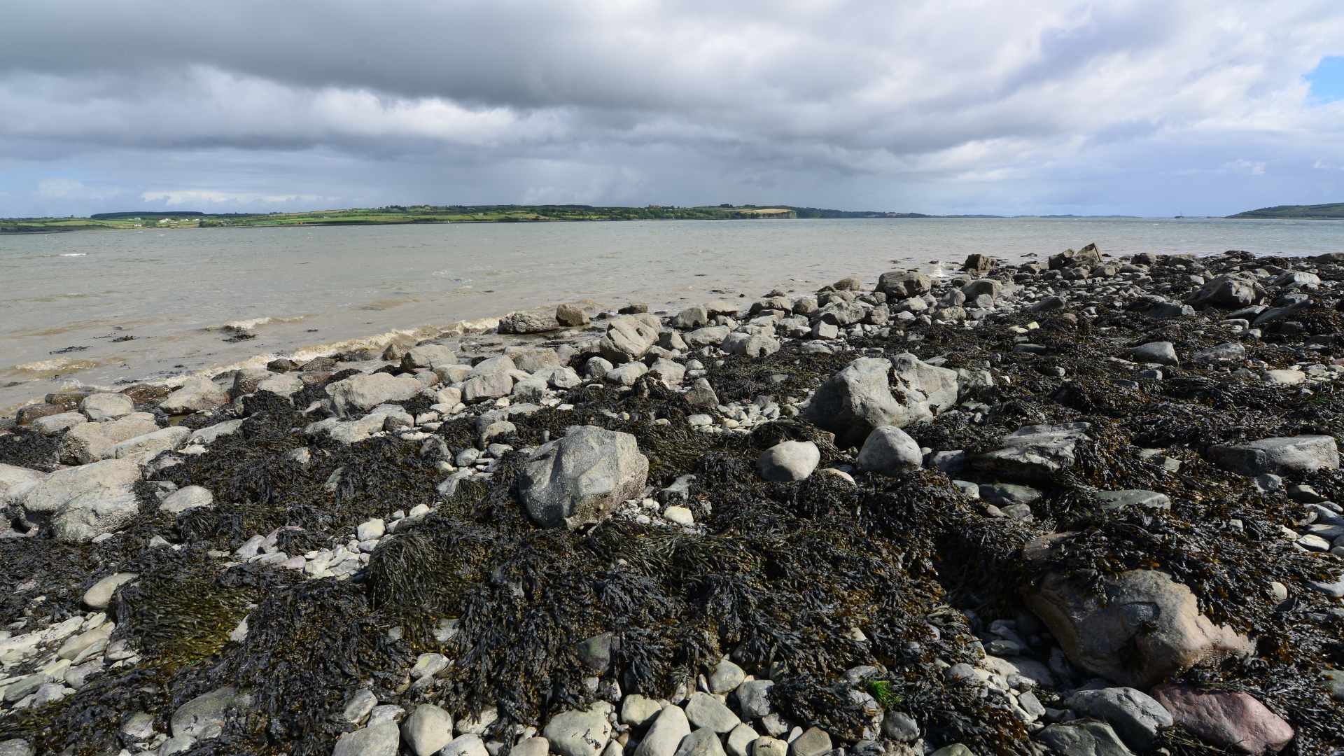 The Shannon Estuary