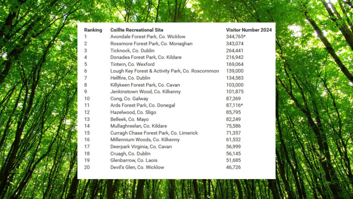 Top-20-most-visited-forests-in-Ireland-1200x675 Forest visits up 10% as Coillte reveals Top 20 list