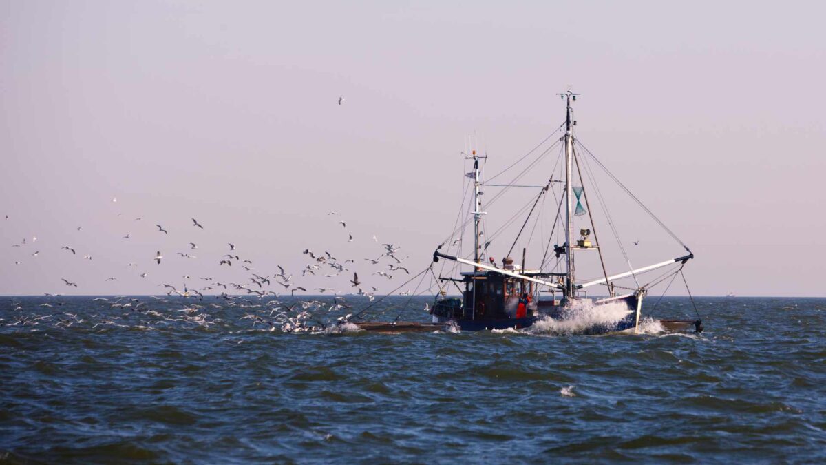 Trawler-1200x675 Government restricts trawling in inshore waters to support local fleets