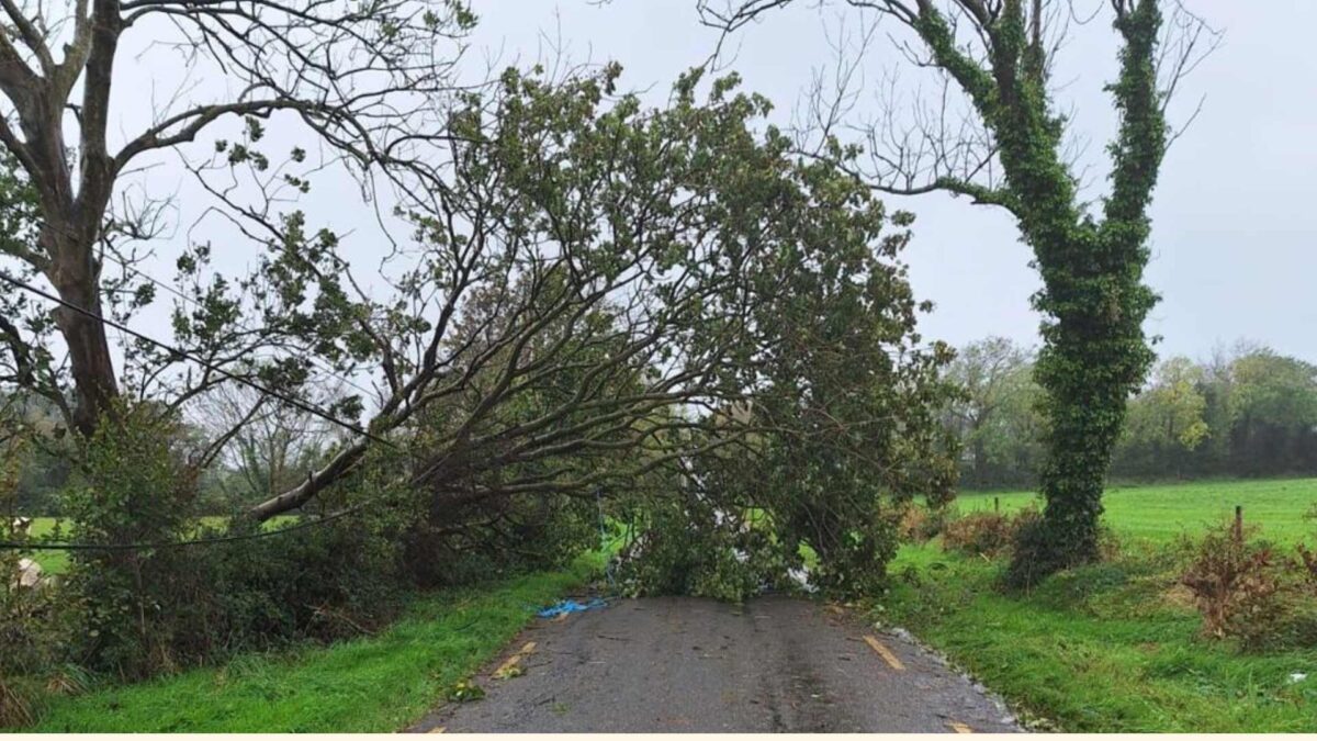 Tree-and-power-lines-down-blocking-the-Slieve-Road-in-Ballynasare-1200x675 LIVE Updates: Storm Amy in Ireland