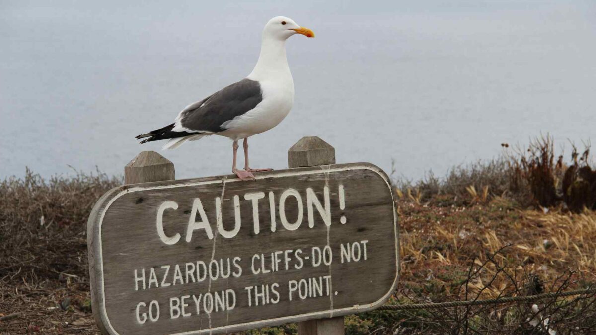 Warning-1200x675 Weather warnings persist into Sunday as strong winds continue