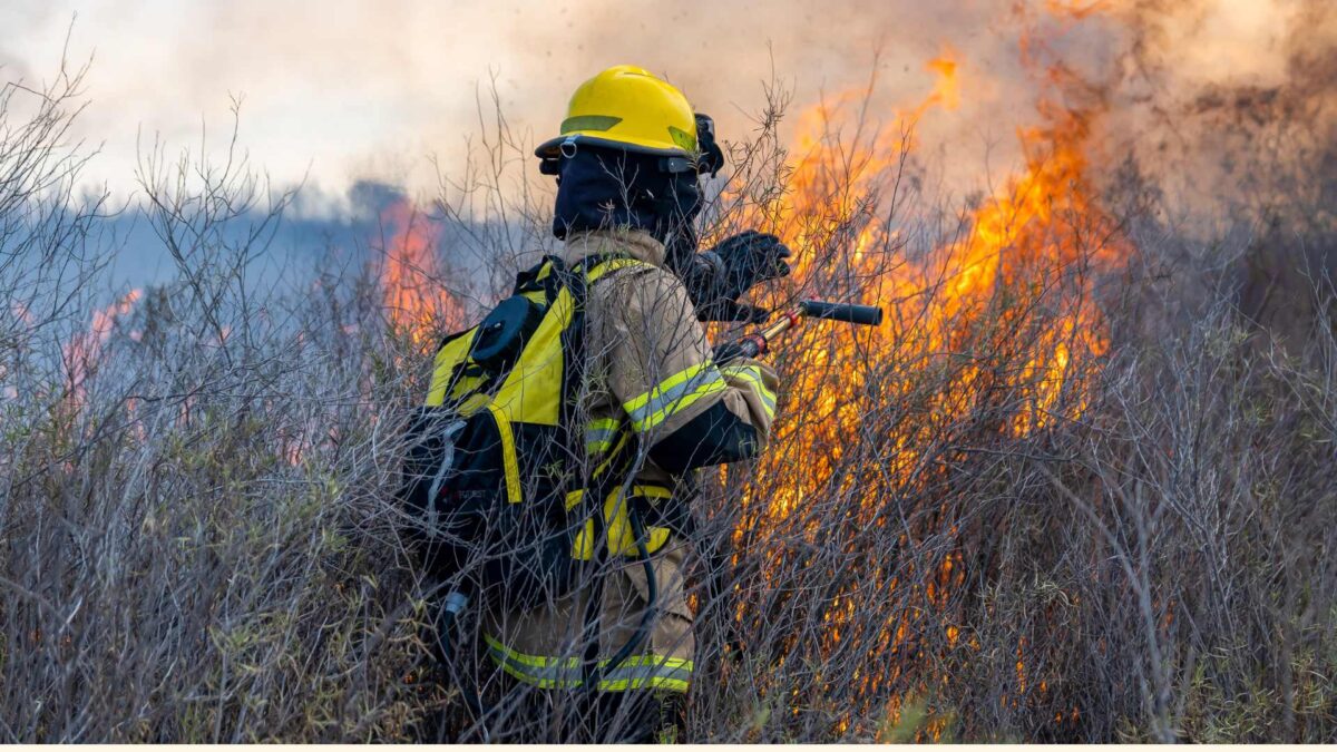 Wildfire-1200x675 Half of Worst Wildfires Since 1980 Happen in Last Decade