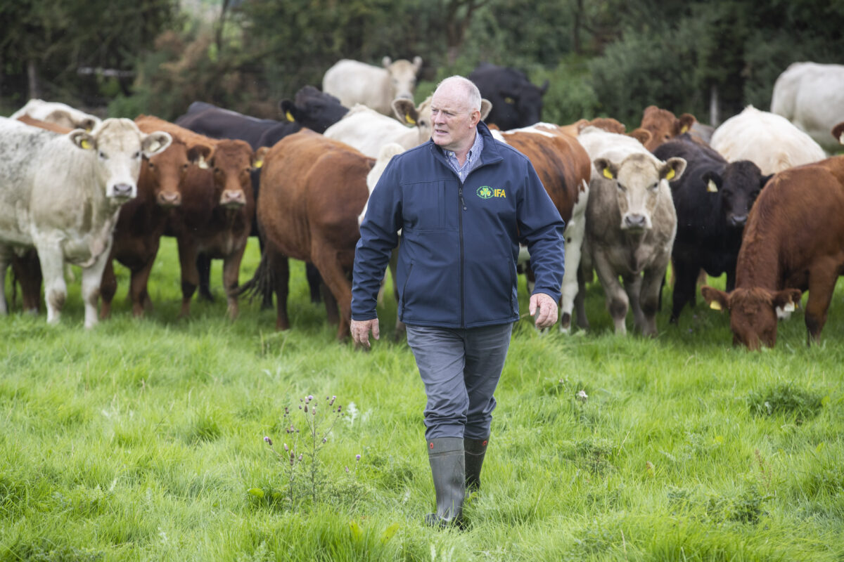 A58I9528-1200x800 Ireland’s nitrates derogation set for possible three-year extension