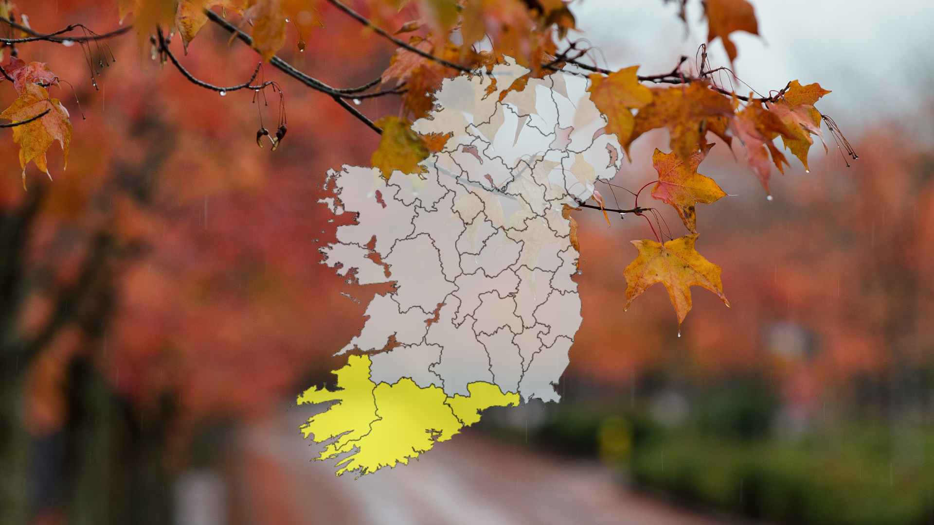 Alert and warnings for three counties