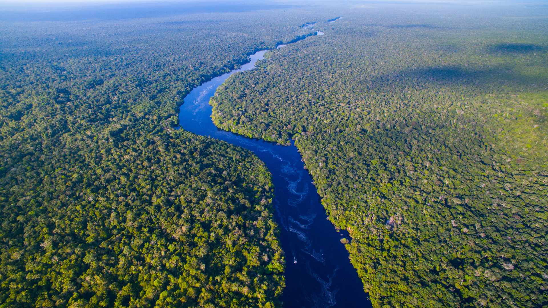 Minister Richmond Heads to Brazil for COP30 Climate Talks 18 Amazon river in Brazil