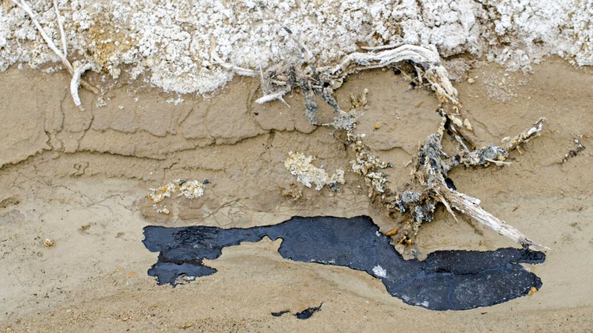 La-Brea-Tar-Pits-in-Southern-California-1-1200x675 Ancient Trees May Have Helped Stabilise Climate During Last Ice Age