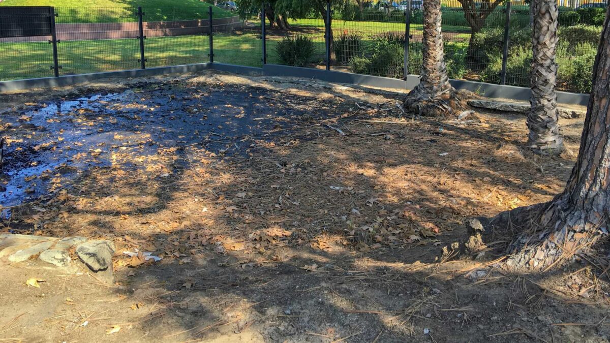 La-Brea-Tar-Pits-in-Southern-California-1200x675 Ancient Trees May Have Helped Stabilise Climate During Last Ice Age