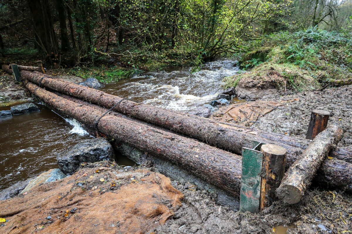 Muff-Glen-Forest-Park-Eglinton3-1200x800 Nature based project aims to curb Eglinton flooding