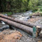 Muff Glen Forest Park, Eglinton