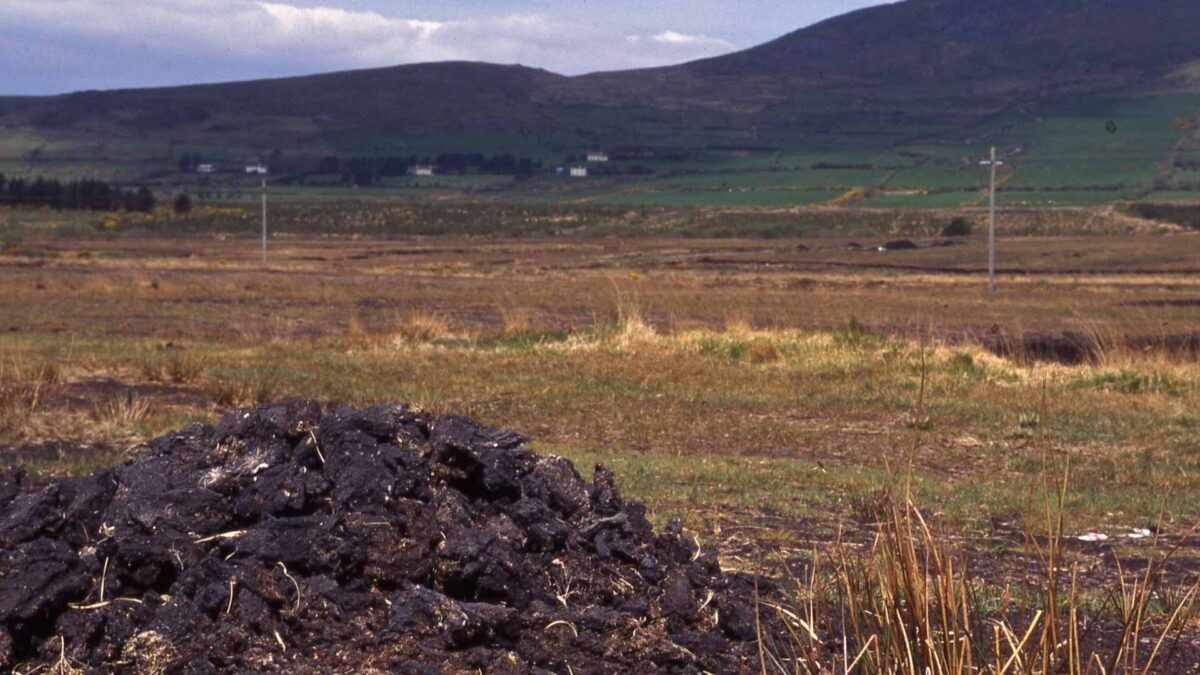 Peat-1200x675 €800,000 Available for Community Peatland Projects