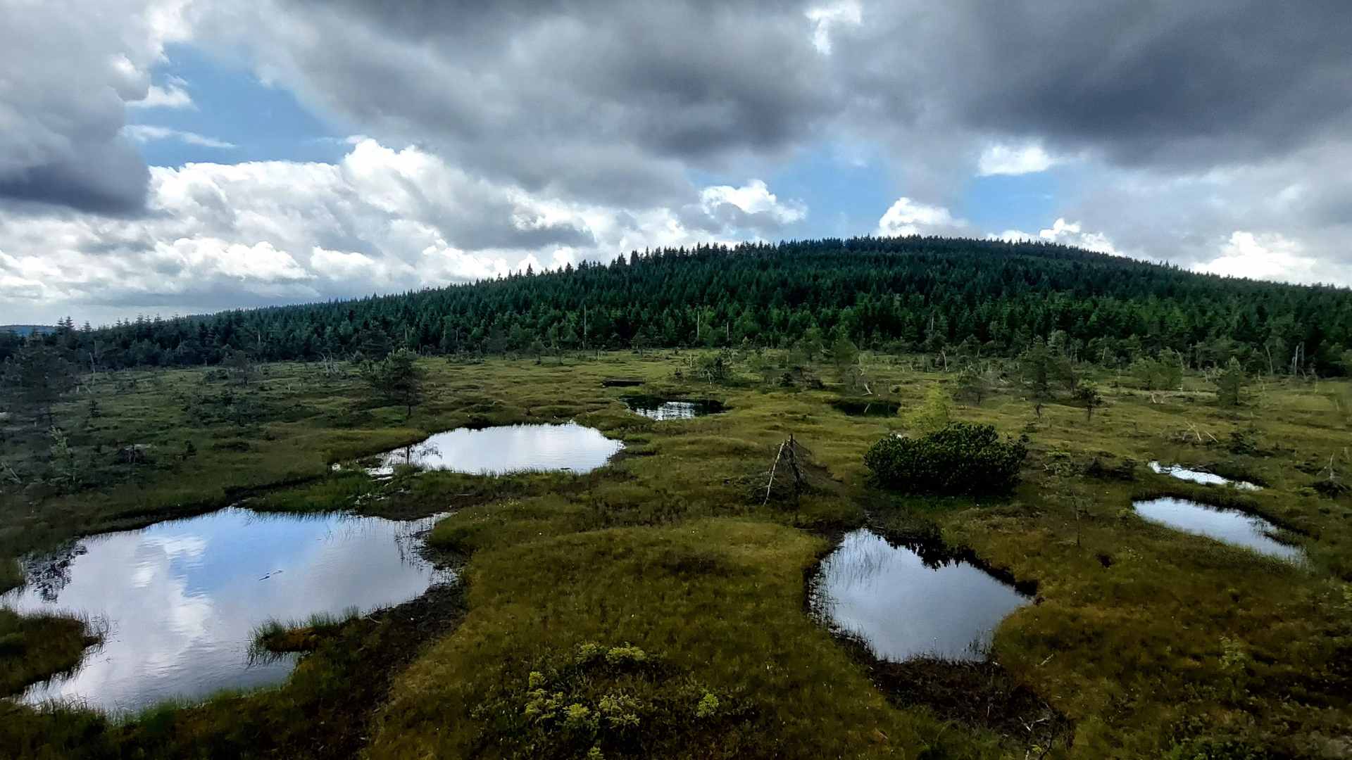 €800,000 Available for Community Peatland Projects 16 Peatland