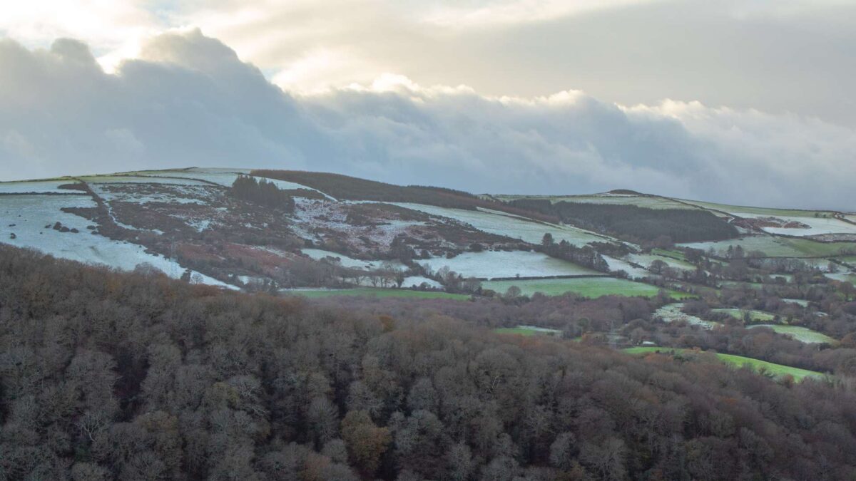 Snow-on-the-Glen-of-the-Downs-County-Wicklow-1200x675 Ireland’s Ancient Oak Woodland Set for Major Expansion