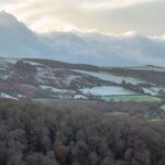 Snow on the Glen of the Downs, County Wicklow