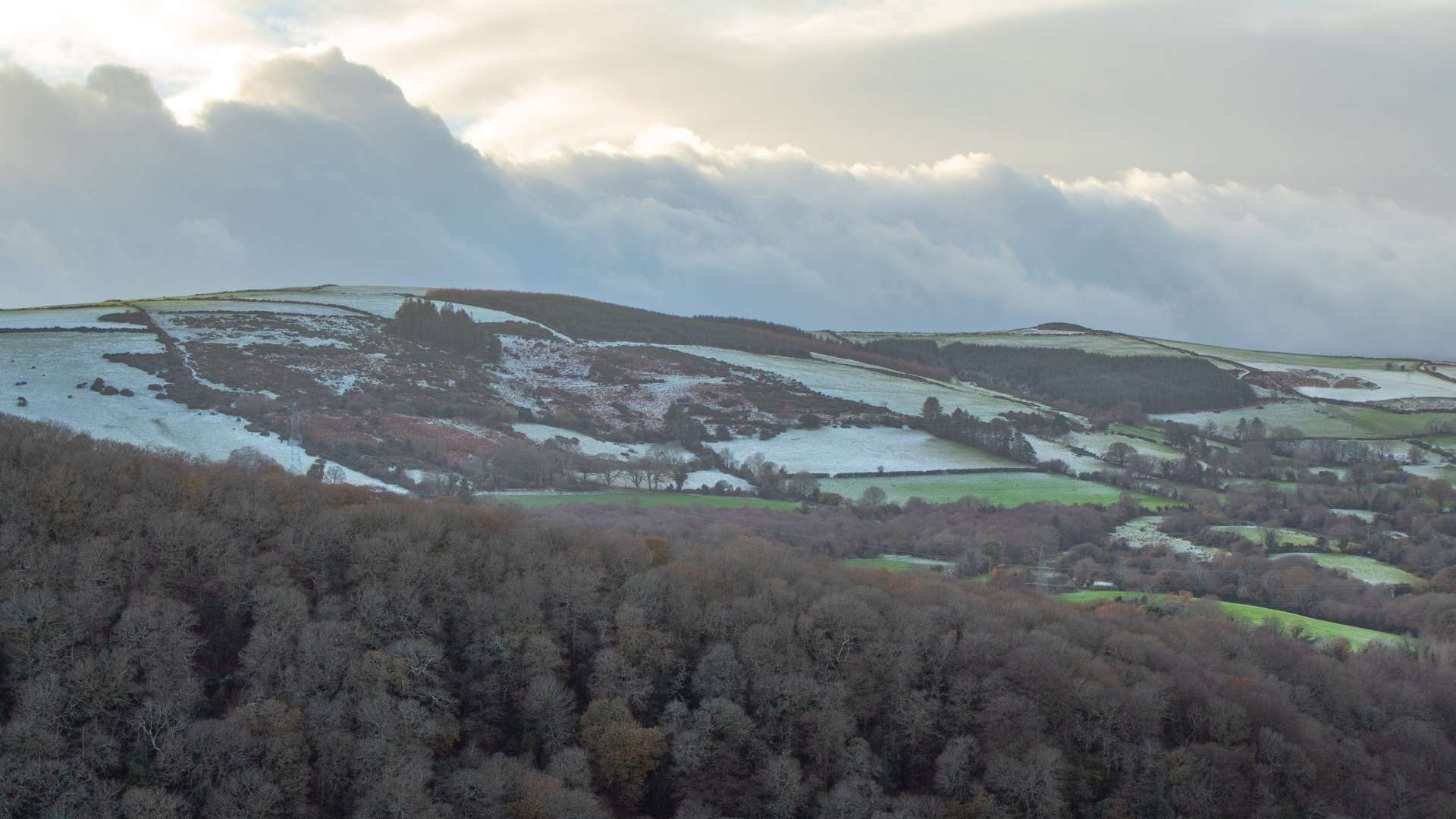 Snow on the Glen of the Downs, County Wicklow